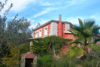 Das Haus in der Eukalyptusplantage - Nr. 551B